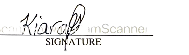 SPLINT WRIST BRACE RIGHT (L) 904 LP