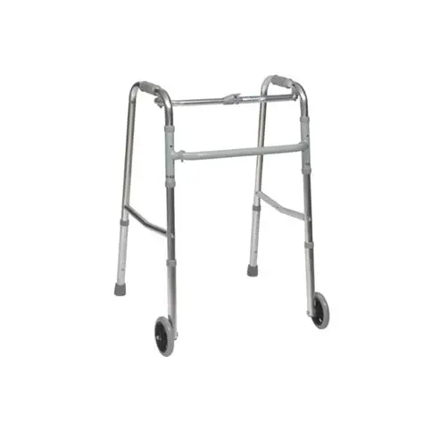 Commode Chair skeliton (Surrmed)